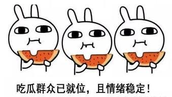 娱乐吃瓜酱晚安蠢蛋